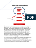 Hypertensive Crisis Patho