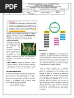 Guia de Ecologia Corte2