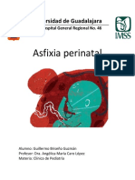 Asfixia Perinatal Monografía