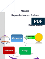 Manejo Reprodutivo em Suinos