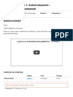 Semana 6 - Tema 1 - Autoevaluación - Contaminación Ambiental - INDIVIDUO Y MEDIO AMBIENTE (15484)