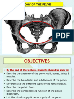 Pelvic Walls, Joints, Vessels & Nerves, Pelvic Organs PPT Final