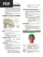 The Bones of The Skull Trans