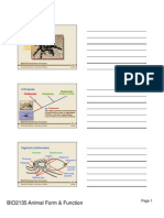 Arthropoda: BIO2135 Animal Form & Function