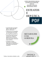 Slides Esteatose Hepatica