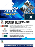 Audiencia Publica Ii-2020