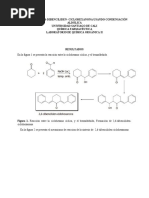 Informe Alejandra Corto