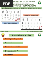 3ra y 4ta Unidad