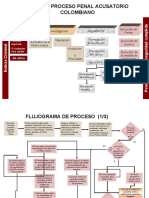 Mapa Del Proceso Penal Animado