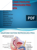 Anatomi Dan Fisiologi Sistem Reproduksi Pria Dan Wanita