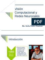 Visión Computacional y Redes Neuronales