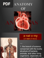 Part 1 - Anatomy of Anathas