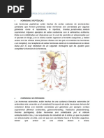 Composicion Quimica de Las Hormonas