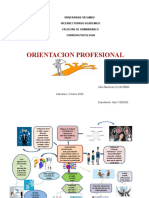 Mapa Mental Orientacion Profesional