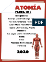 Anatomia Tarea 1