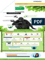 s10 4 Prim Infografia Dia 5 Gorila de Montana