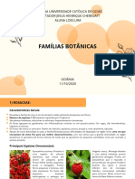 Famílias Botânicas - Loes Lira