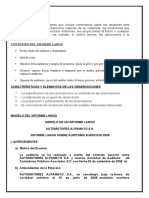 Auditoria Informe Largo