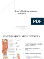 Intevención T.O en Tendones Extensores