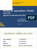 Microbiologia de Las Iaas