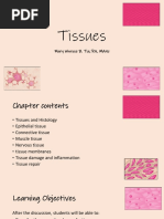 AnaPhy 3 Tissues