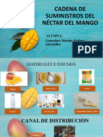 Cadena de Suministros Mango - Fatima Goicochea