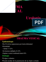 Trauma Vesical 1