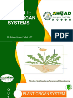 Plant Organ System