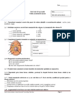 Test Evaluare Celua Si Tesuturi