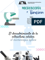 1) Microscopia - y - Tincion