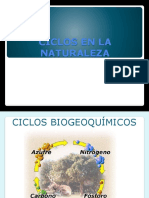 Ciclos en La Naturaleza