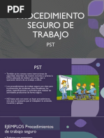 Procedimiento Seguro de Trabajo