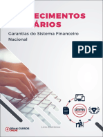 Garantias Do Sistema Financeiro Nacional