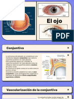 El Ojo