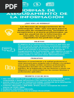 Normas de Aseguramiento de La Información