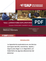 Laparotomia Exploratoria Conceptos