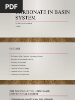 Carbonate Deposition in Basin System