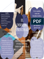 El Derecho Procesal