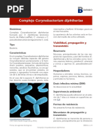 Complejo Corynebacterium Diphtheriae