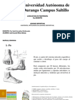 Anatomía, Patologías de Lesiones Deportivas.