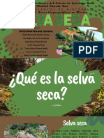 Act 1.3 - Selva Seca