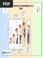 Rutas de Promoción y Mantenimiento de La Salud