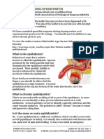 Chronic Epididymitis