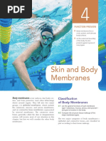 Chapter 4 Skin and Body Membranes