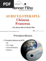 Ebook Auriculoterapia