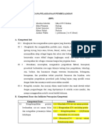 RPP Protista