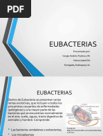 Eubacterias 160403231720