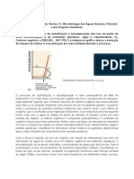 Microbiologia Das Águas