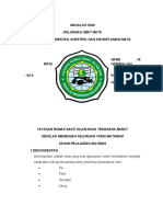 Makalah Obat Dekongestan