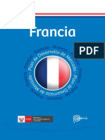 PDM Francia Pliegos